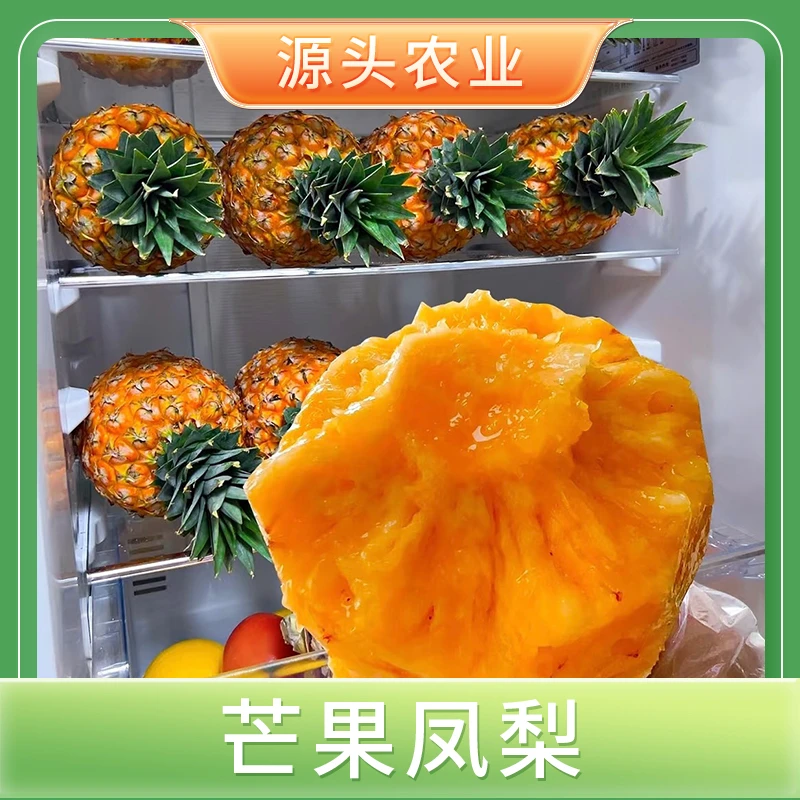 【芒果凤梨】正宗海南芒果凤梨新鲜采摘香甜可口 4.5/7.5斤W