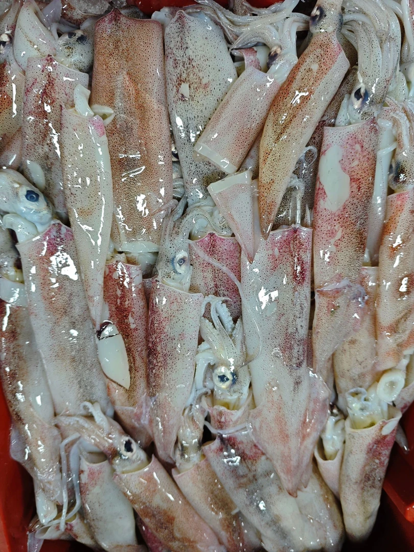 本港拖网大管  （个别会脱皮  介意慎拍） 顺丰新鲜到家