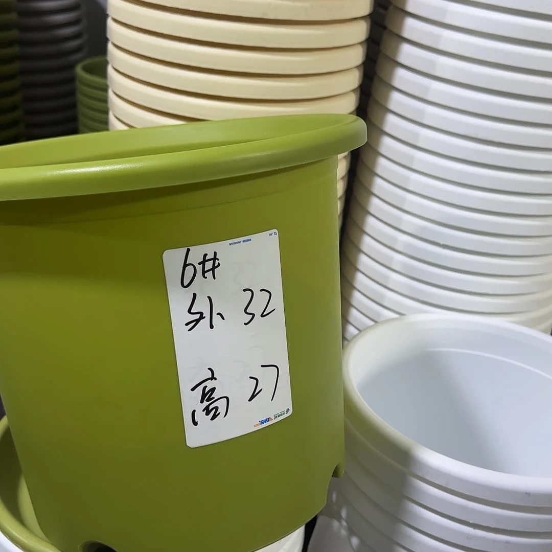 树脂四季5号带托5个灰白