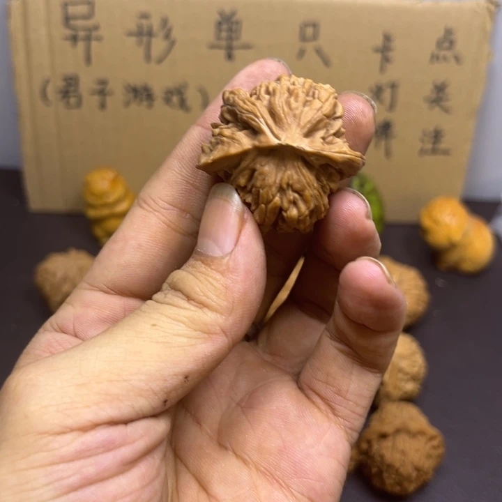 小***、菩提籽类楼子挂角