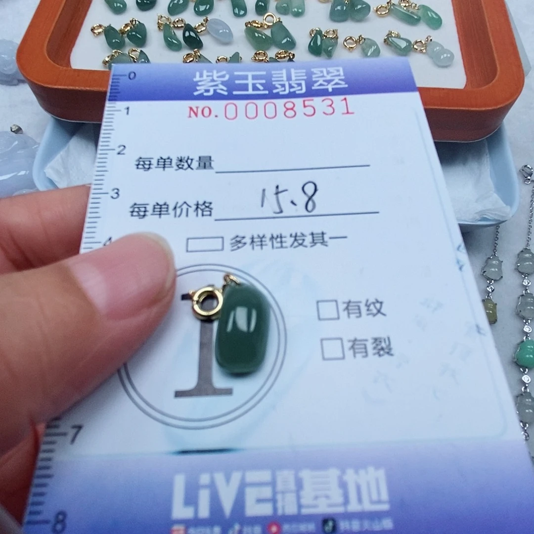 颈饰未镶嵌翡翠冰透随行