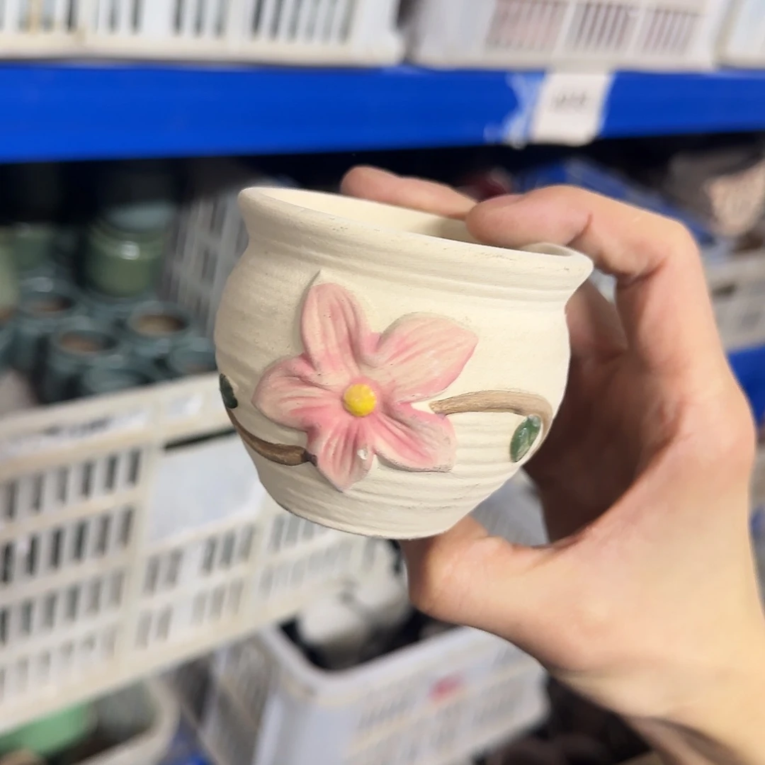 福利局绿植多肉盆［凑9元包邮24小时发］4015