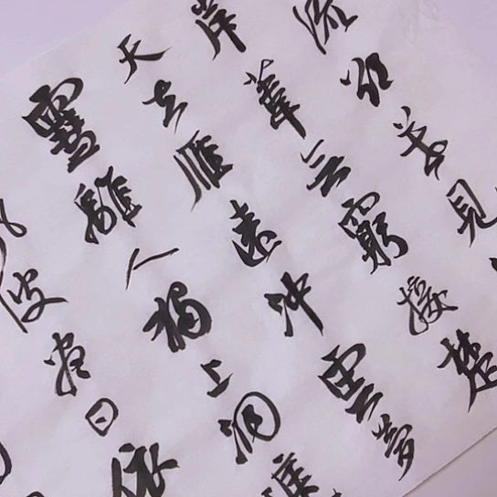 书法张建东老师书法作品