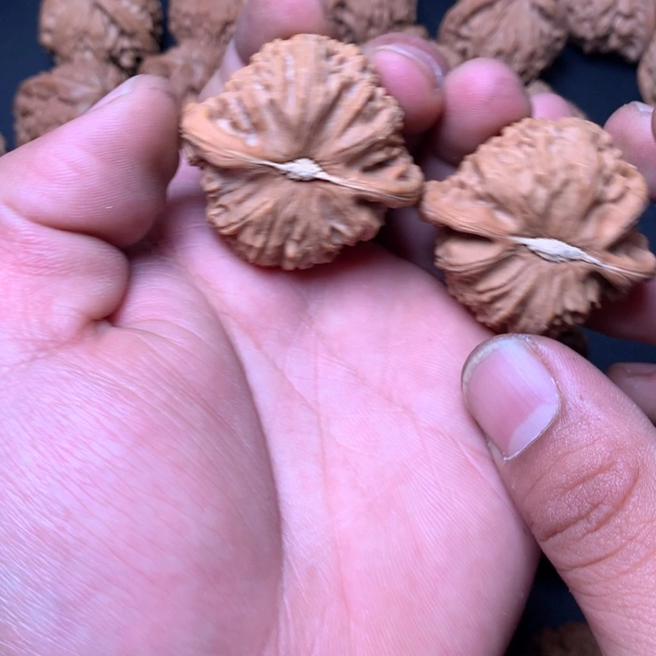 文玩核桃把件41白狮子50