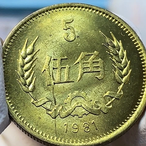 其他普通金属1981年5角膜列单枚，，，，，，