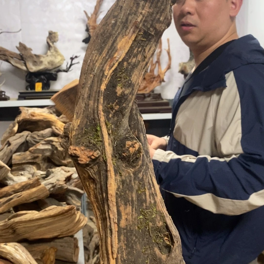 柏木我***月我们都是好孩子