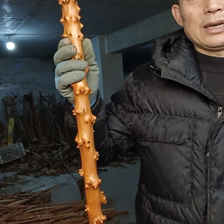 稳定木柏**屋贵州檬子木   铁马鞭   根艺  半成品