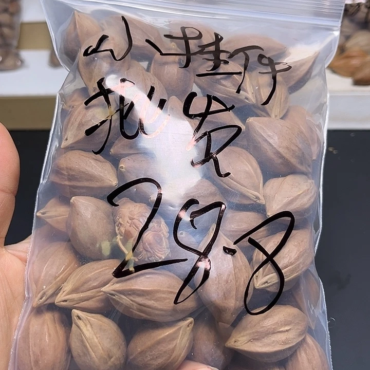 饰***发手串/手链橄榄核1111