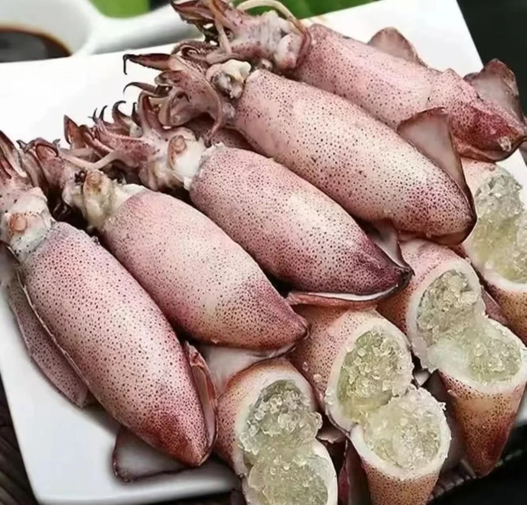 【满籽乌】籽乌乌贼鱿鱼又鲜又嫩海味十足