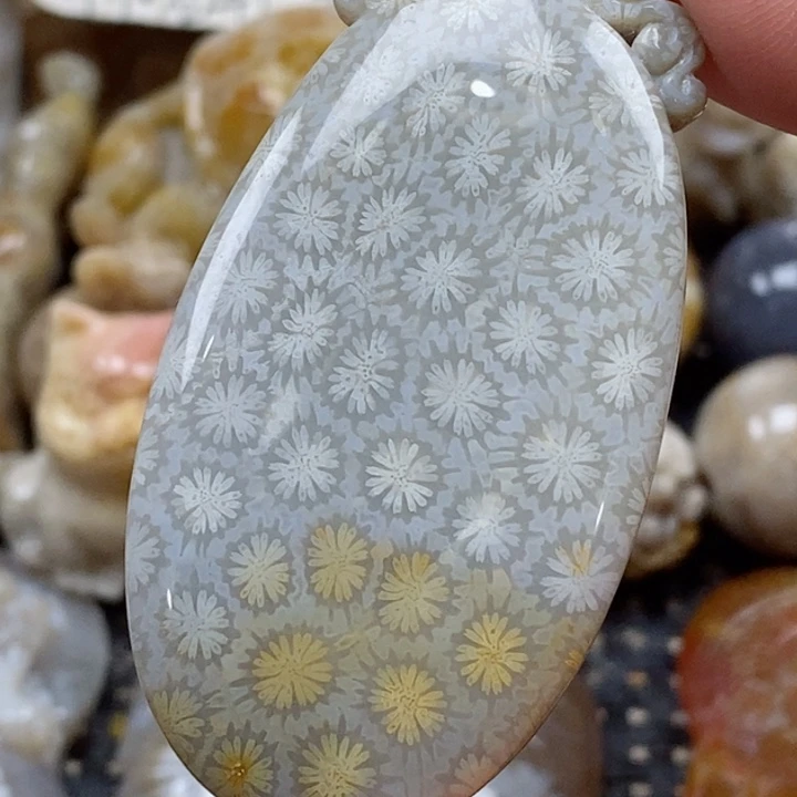 颈饰未镶嵌硅化珊瑚（珊瑚玉）