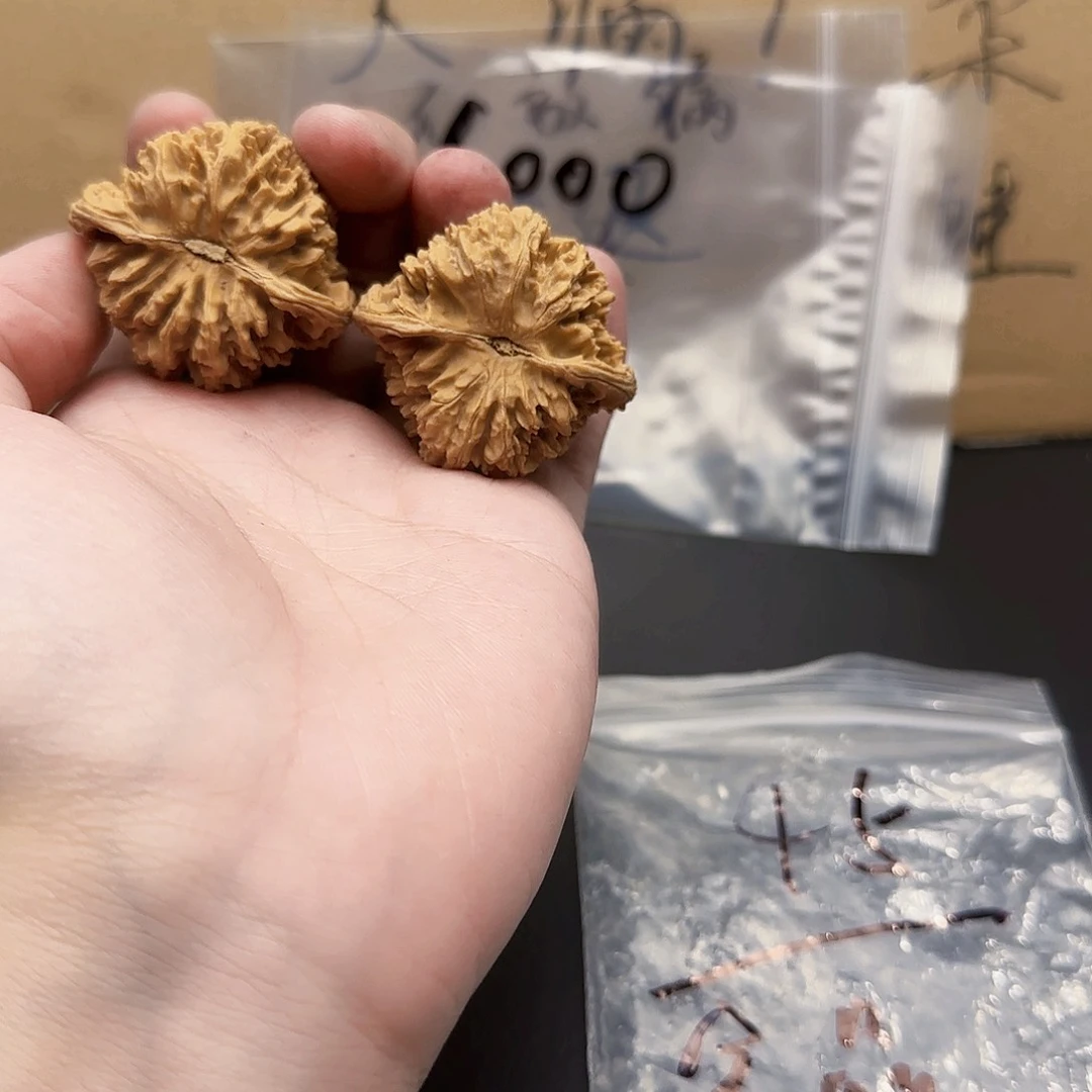 yycfhj5678松柏长青