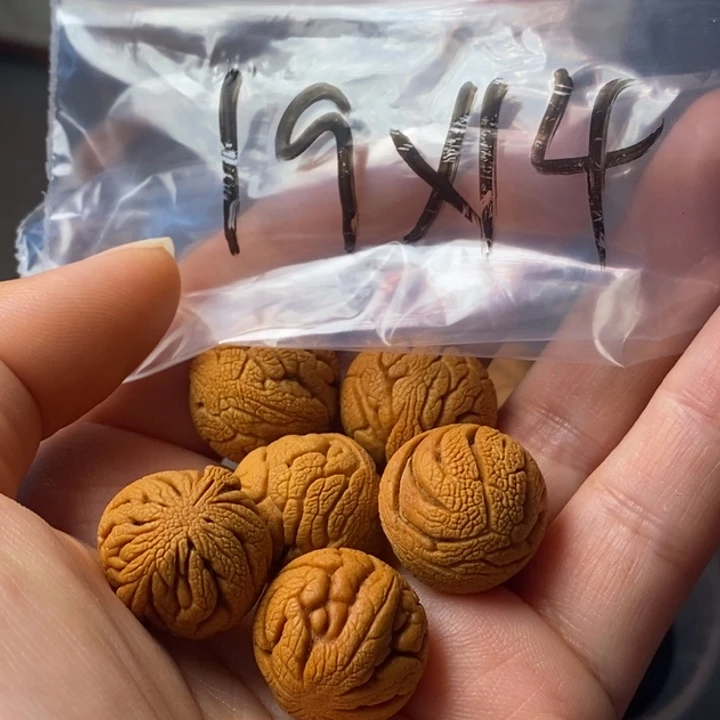 文玩核桃手串秦岭野生龙纹桃核19