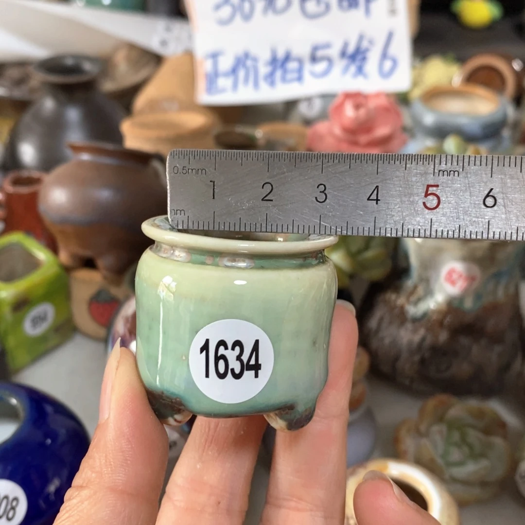 拍5送一个小礼物