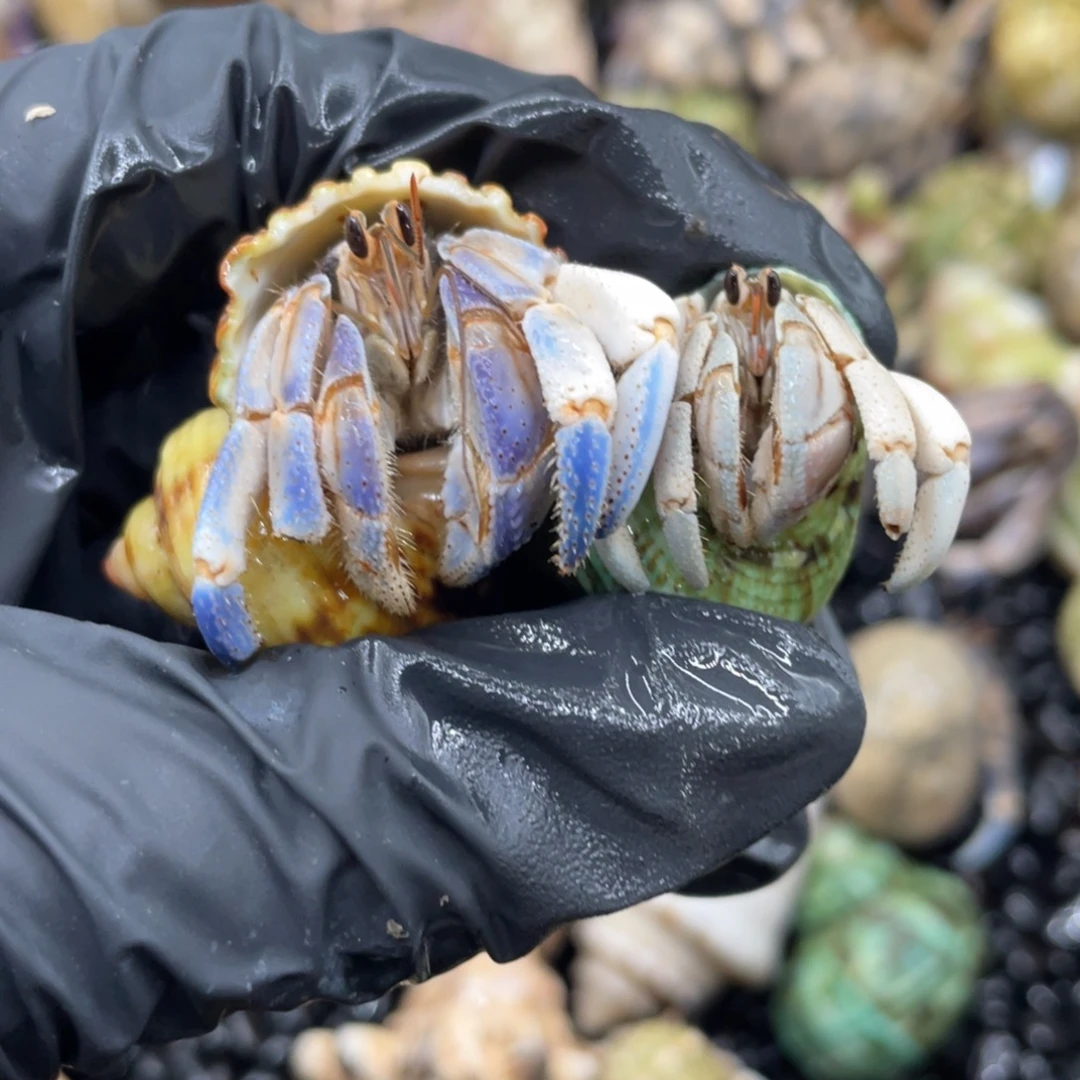 5***m大家也都不苦成绩被