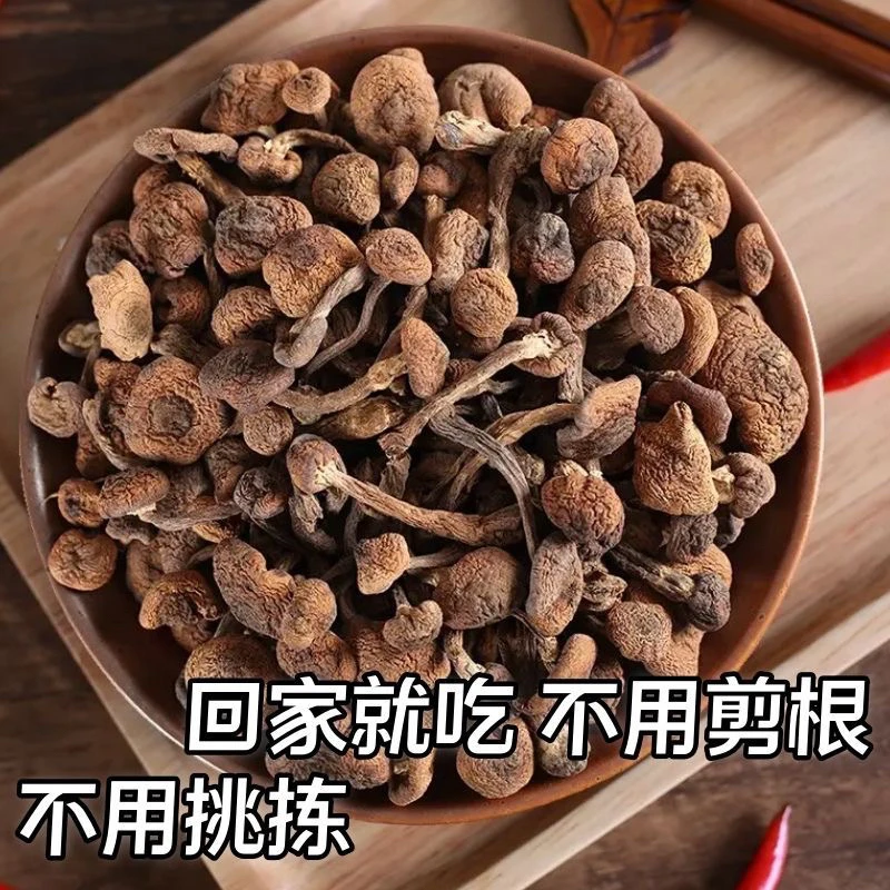 东北榛蘑钉 小鸡炖蘑菇 东北特产干货250g包邮（半斤一斤）