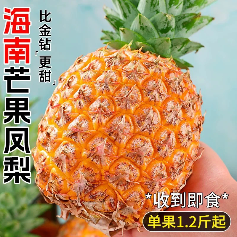 「北京新发地直发」海南芒果凤梨金钻风梨香水大菠萝9斤左右（6个）【顺丰包邮】新鲜