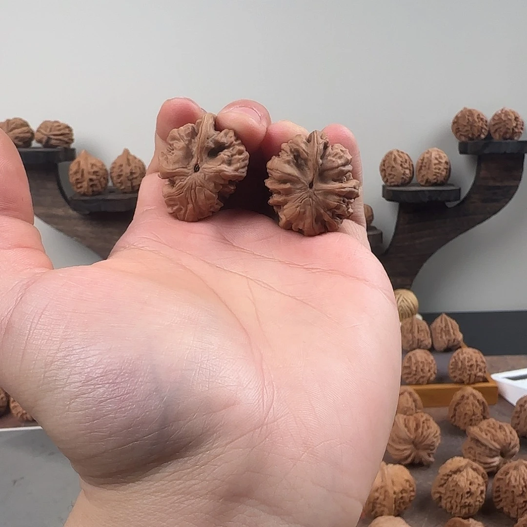 核桃磕尖南疆异形16552