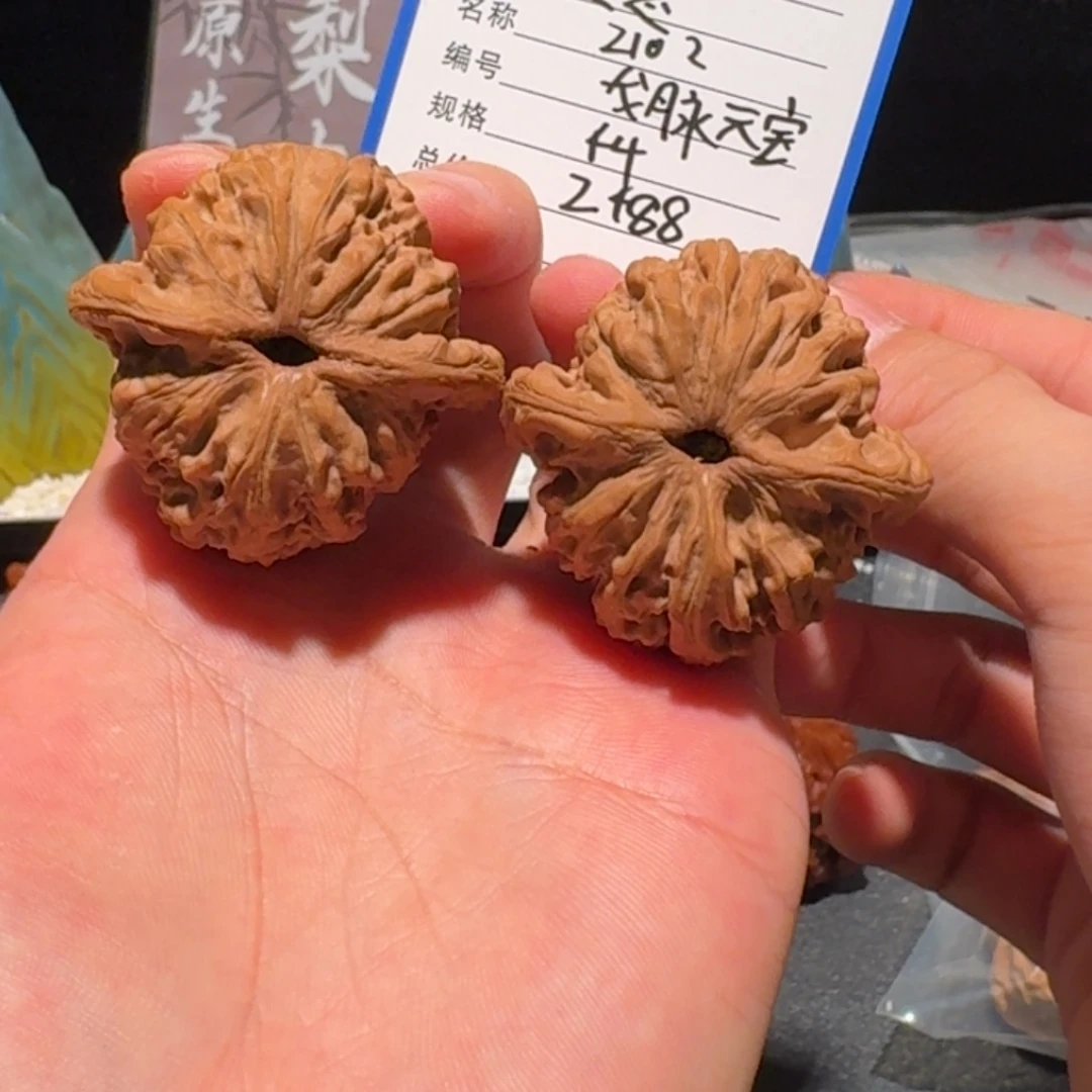 恩****龙脉元宝编号2102