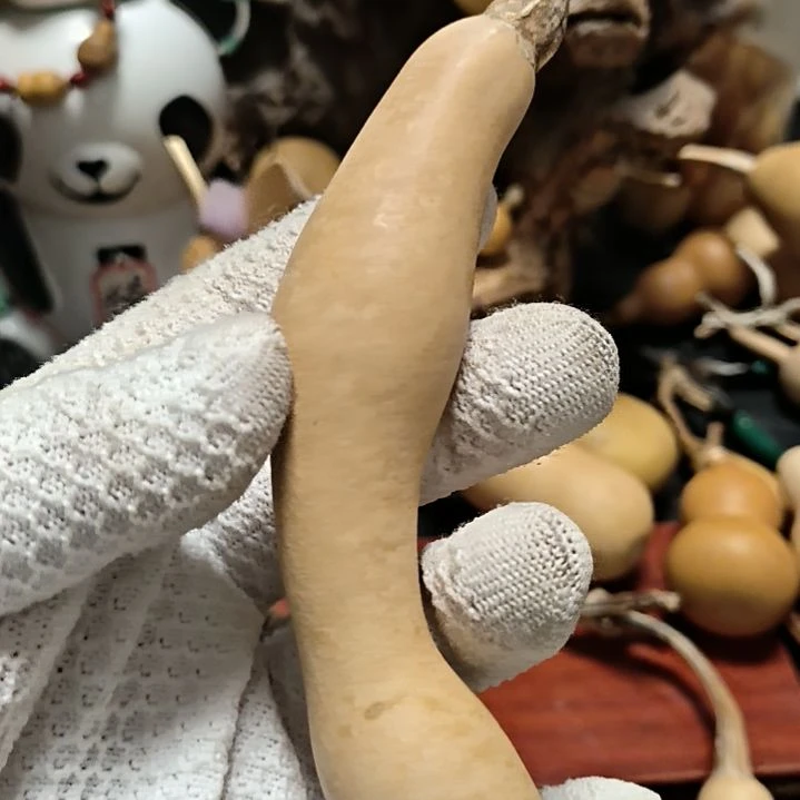 品***侯888888888888888888