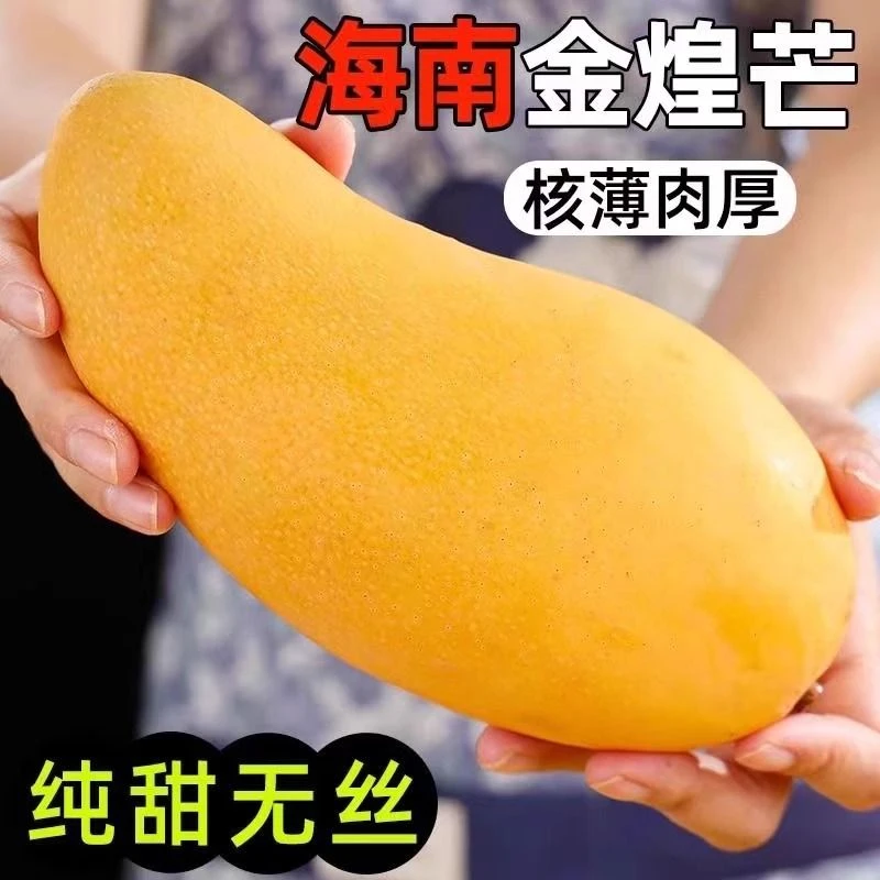 海南金煌芒礼盒装纯甜无丝芒果水果