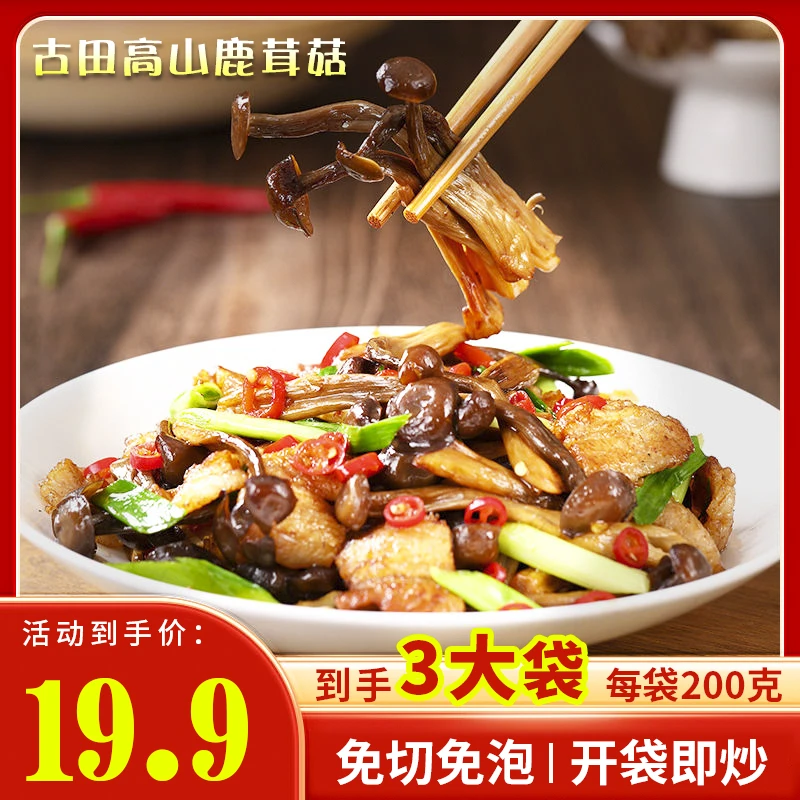 【到手3袋】(可试吃一袋)）头茬优质高山鹿茸菇非干货200g/袋免泡发