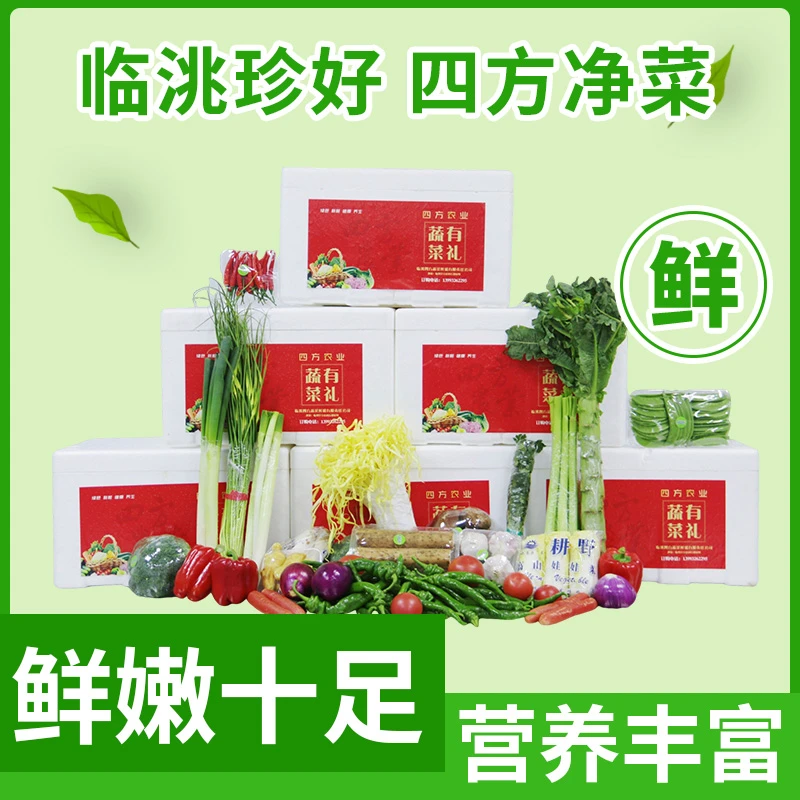 临洮珍好  四方净菜  临洮农礼  23斤+1.5斤