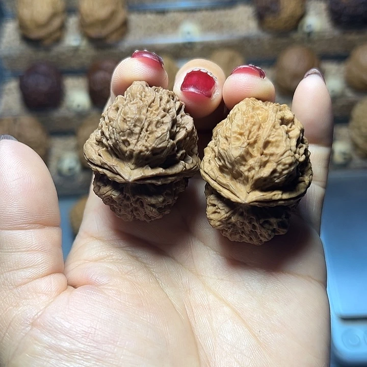 文玩核桃把件2号九龙蟾417尺