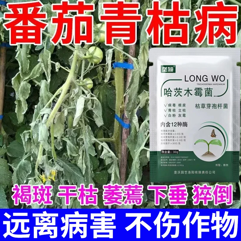 番茄青枯病专用病菌清立枯病枯萎病炭疽病脐腐病下垂干蔫猝倒肥料
