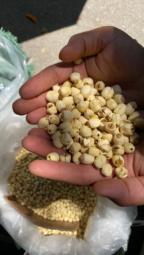 【鹏仔精选】正宗农家白莲子大颗粒纯天然