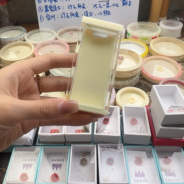 潮界盒黄蛉款一个