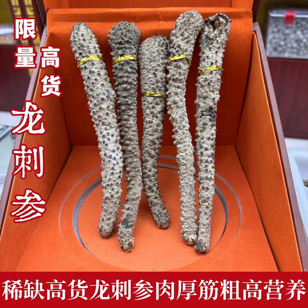 shenzhubo/参主播【稀缺刺参】科摩罗龙刺参稀缺高货刺参干海参