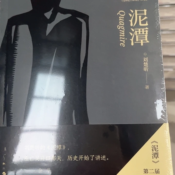 泥潭新书推荐全新