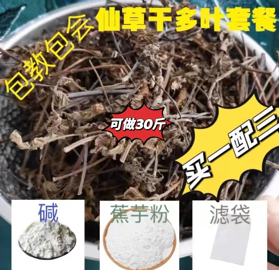 仙草干烧仙草仙草冻黑凉粉草粿正宗龟苓膏龙岩特产自家种植无农残