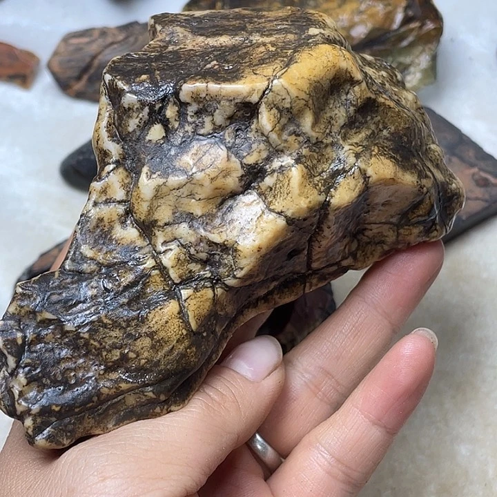 木***淘石材戈壁牧民美石原石