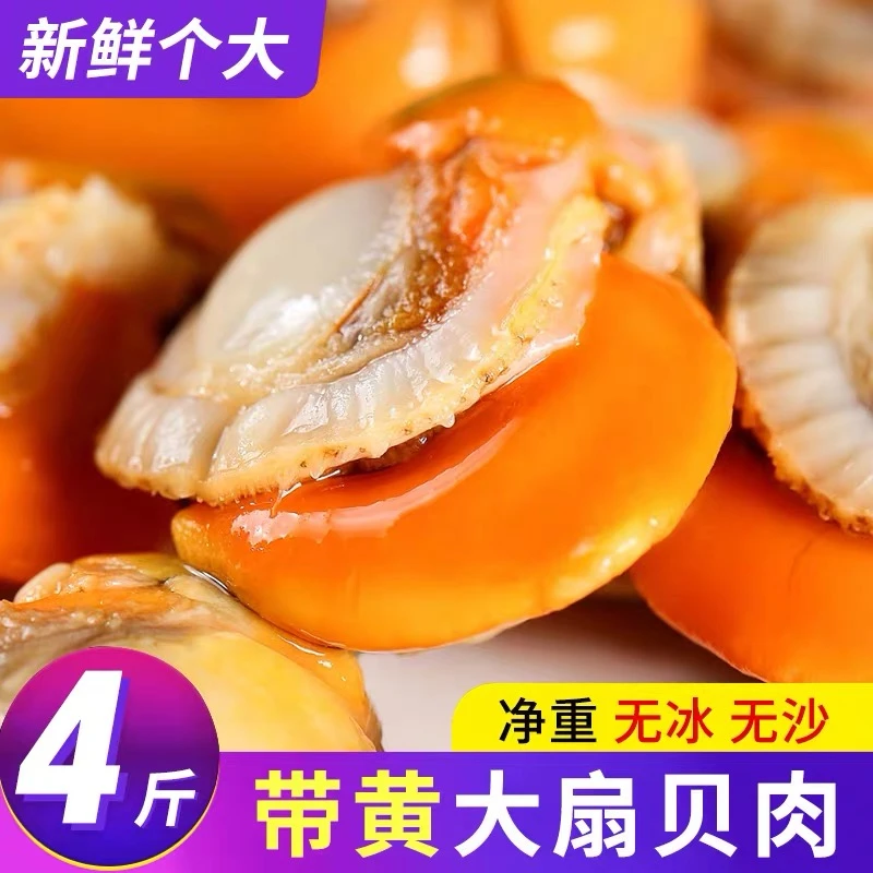 扇贝肉带黄带膏 4大斤 新鲜扇贝特大冷冻 顺丰包邮