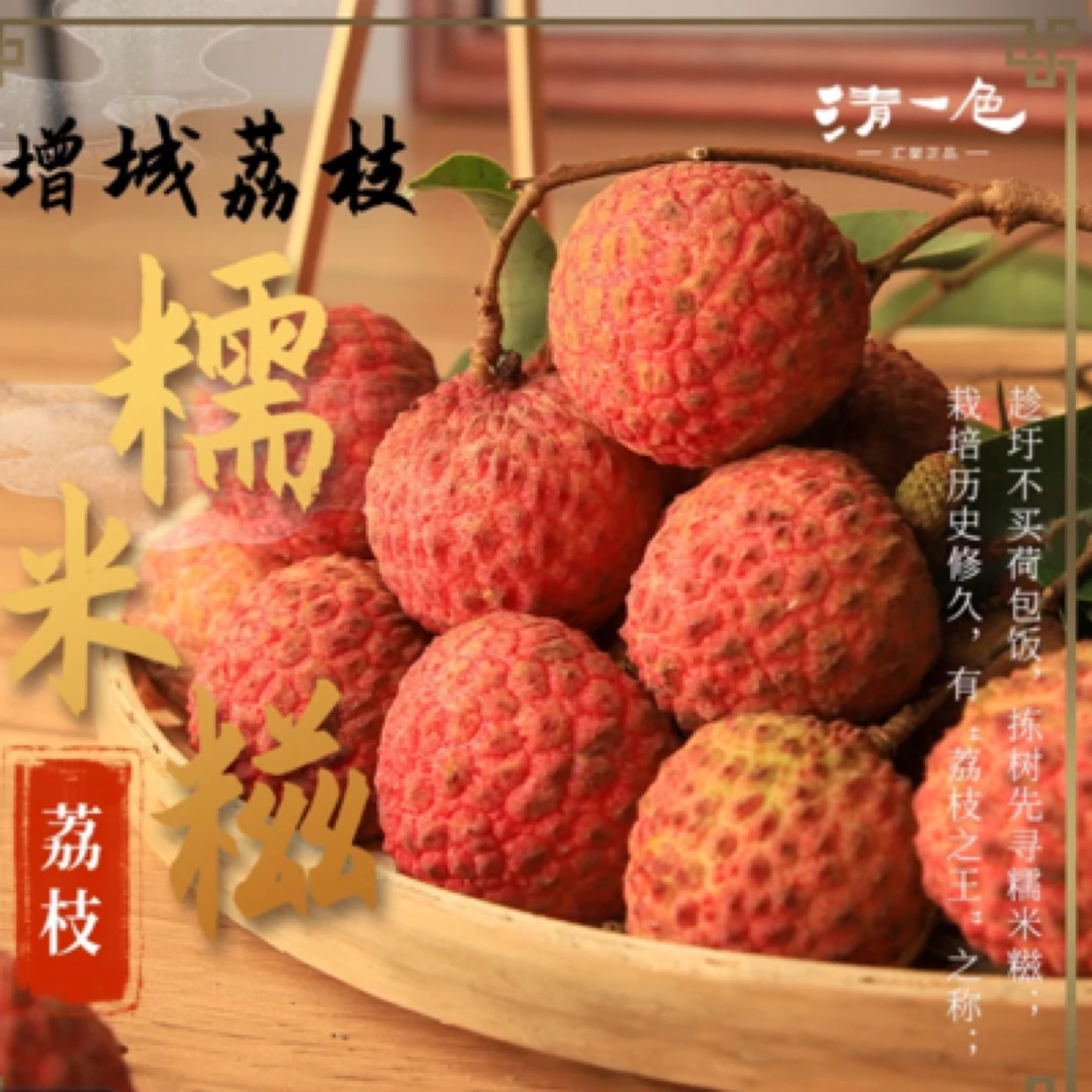 【广东省外糯米糍】增城当季新鲜现摘糯米糍