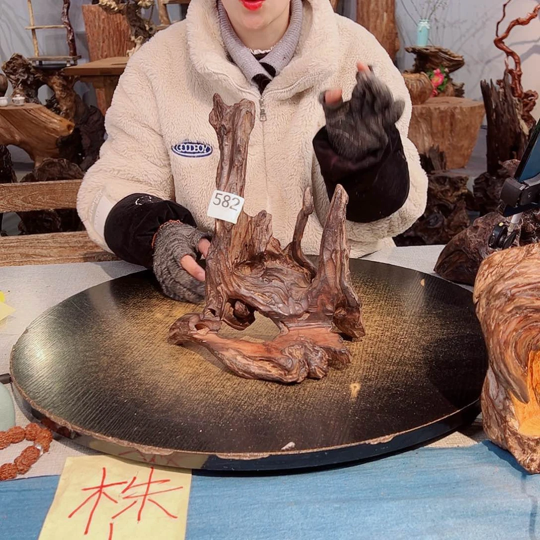 木清*582 hvhvhvhbhhhh