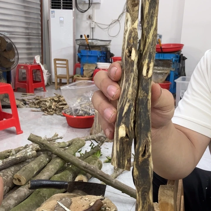 线香奇楠沉香原木段