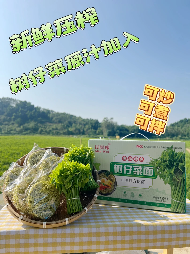 树菜面树仔菜原汁潮汕特色爽口非油炸蔬菜面炒煮汤拌天绿香面条