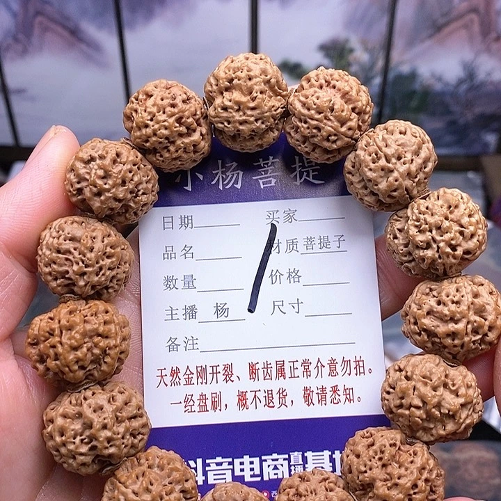手串金刚菩提20.5/21双龙