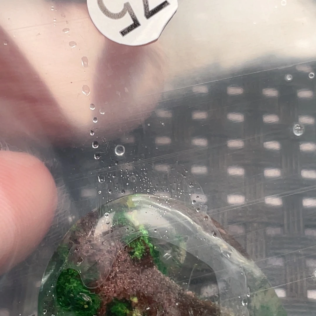 【闪购商品】颈饰未镶嵌水晶