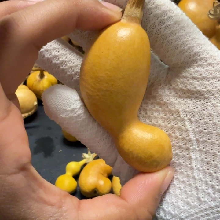 璞***緣66……………………………………