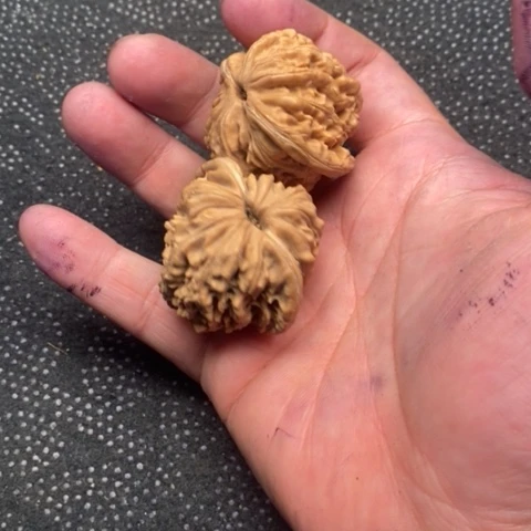 文玩核桃把件西楼5.5