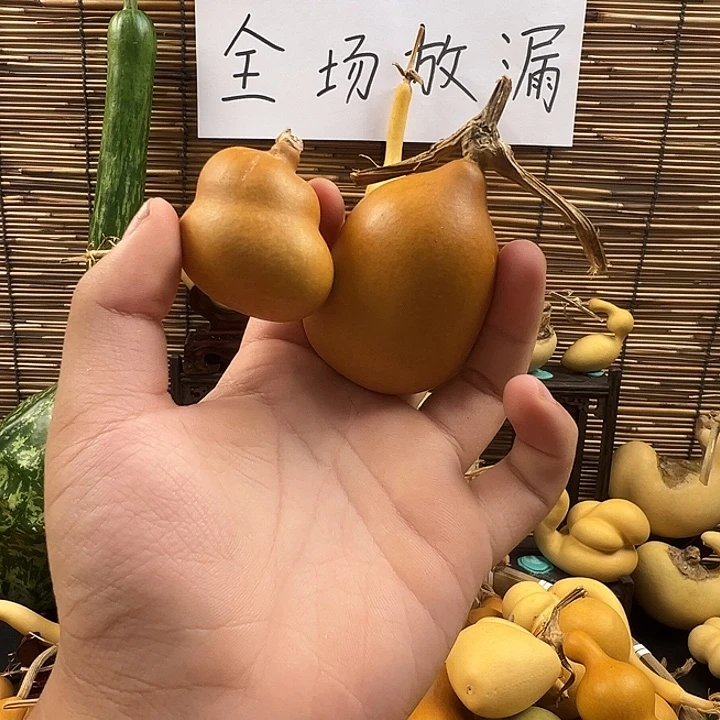 艾***。葫芦葫芦葫芦葫芦葫芦