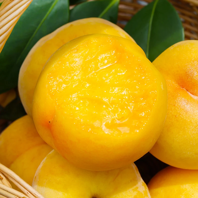 【黄金蜜黄桃】安徽黄桃脆甜可口当季新鲜现摘水果 4斤Q