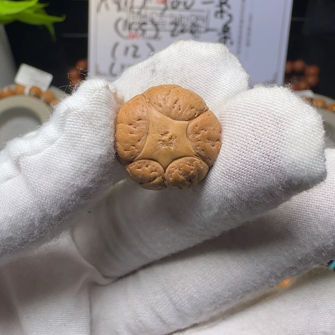 种***手吊坠凤眼菩提19mm五星镶嵌铜丝