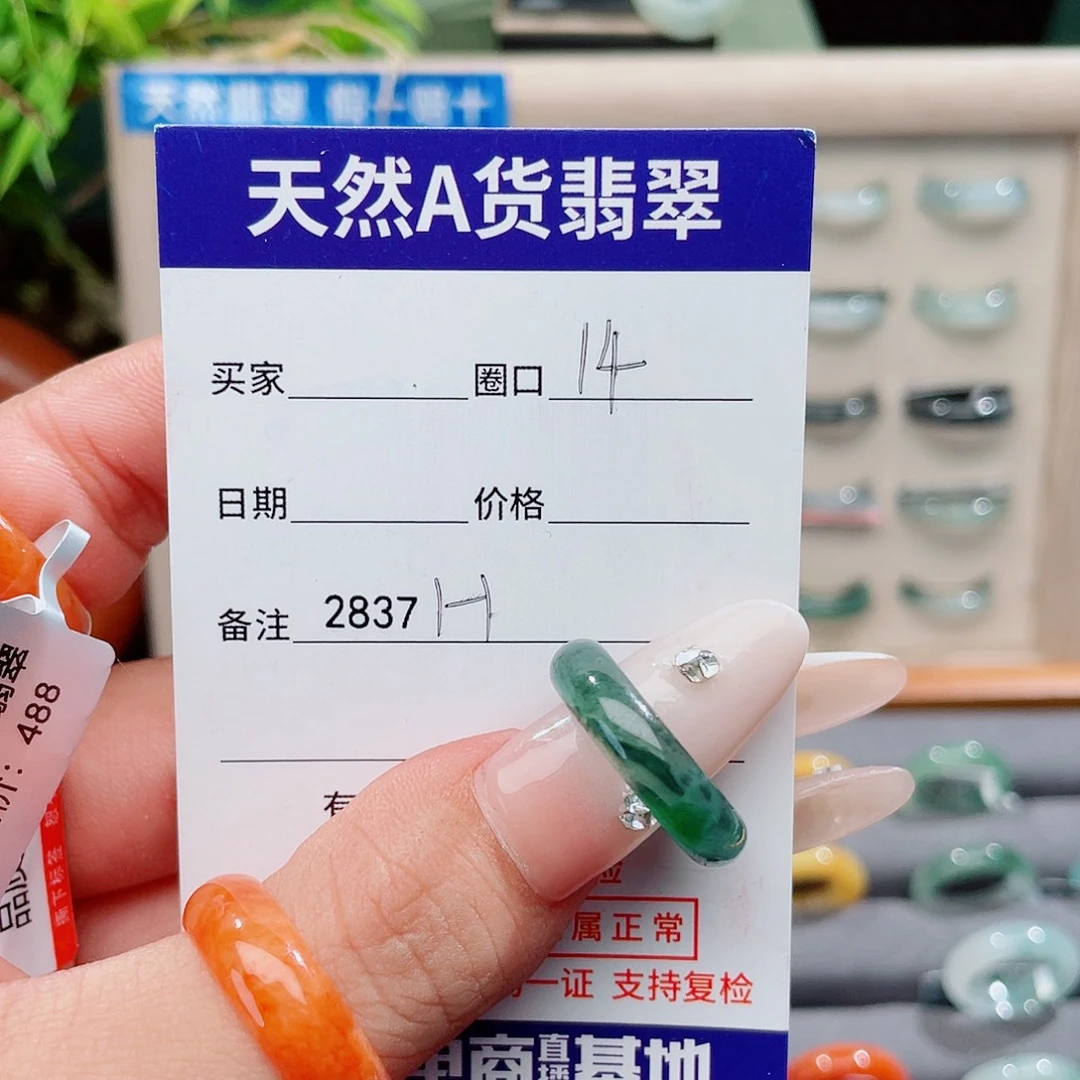 翡翠未镶嵌戒指H 2837