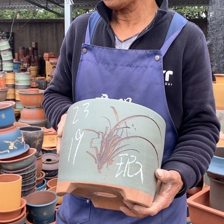 紫砂花盆紫砂花盆盆栽