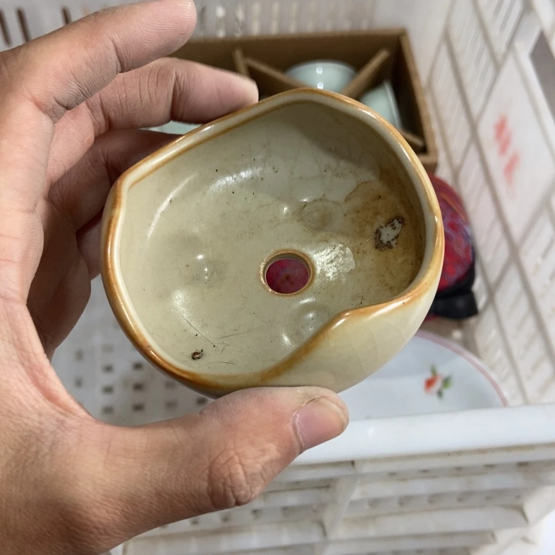 杯直播链接直播链接