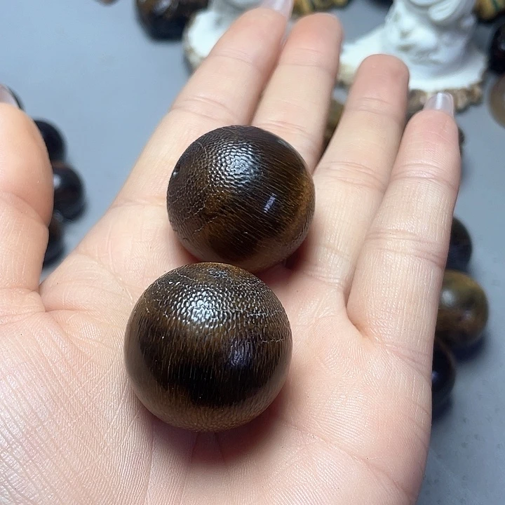 大果紫檀（缅甸花梨）